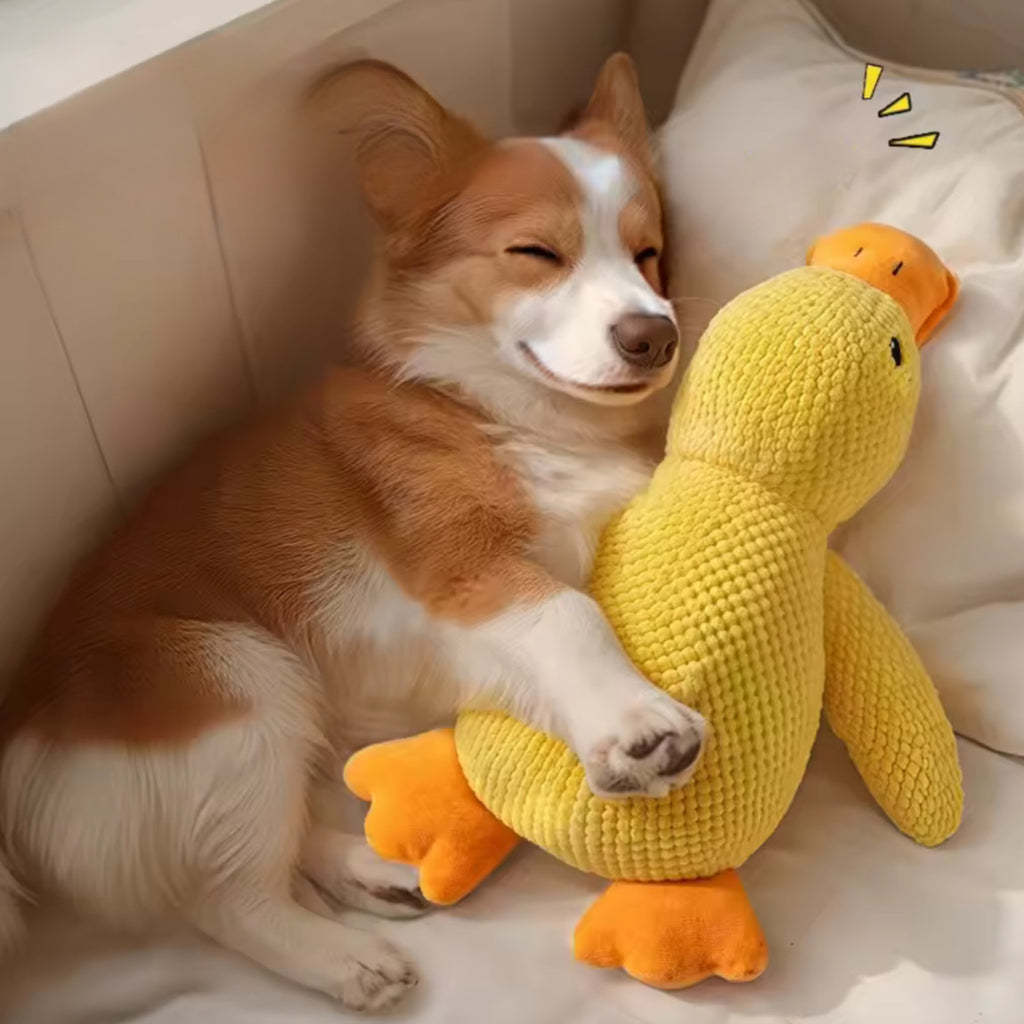 Plush Companion Sleeping Duck Dog Toy — Soft, Durable & Comforting