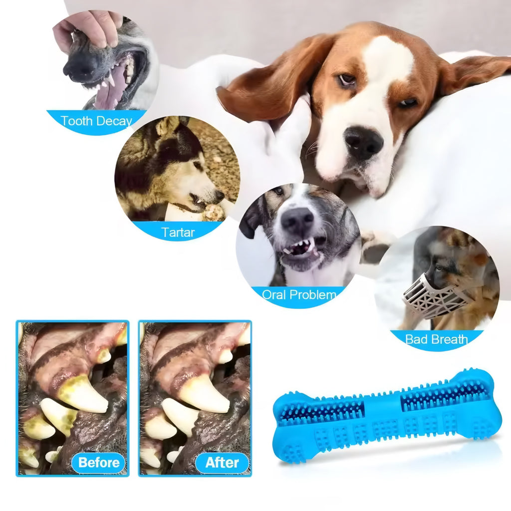 360° Soft Rubber Dog Toothbrush & Chew Toy — Fun Dental Care for a Healthy Smile