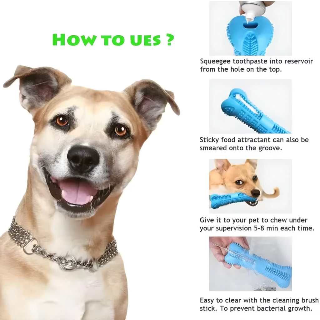 360° Soft Rubber Dog Toothbrush & Chew Toy — Fun Dental Care for a Healthy Smile